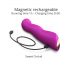 Love to Love Swap - uppladdningsbar, pulserande G-punktvibrator (lila)