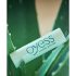 Oyess BIO - naturligt läppbalsam (aloe vera)