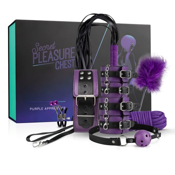 Secret Pleasure Chest - avancerad BDSM-kit (14 delar)